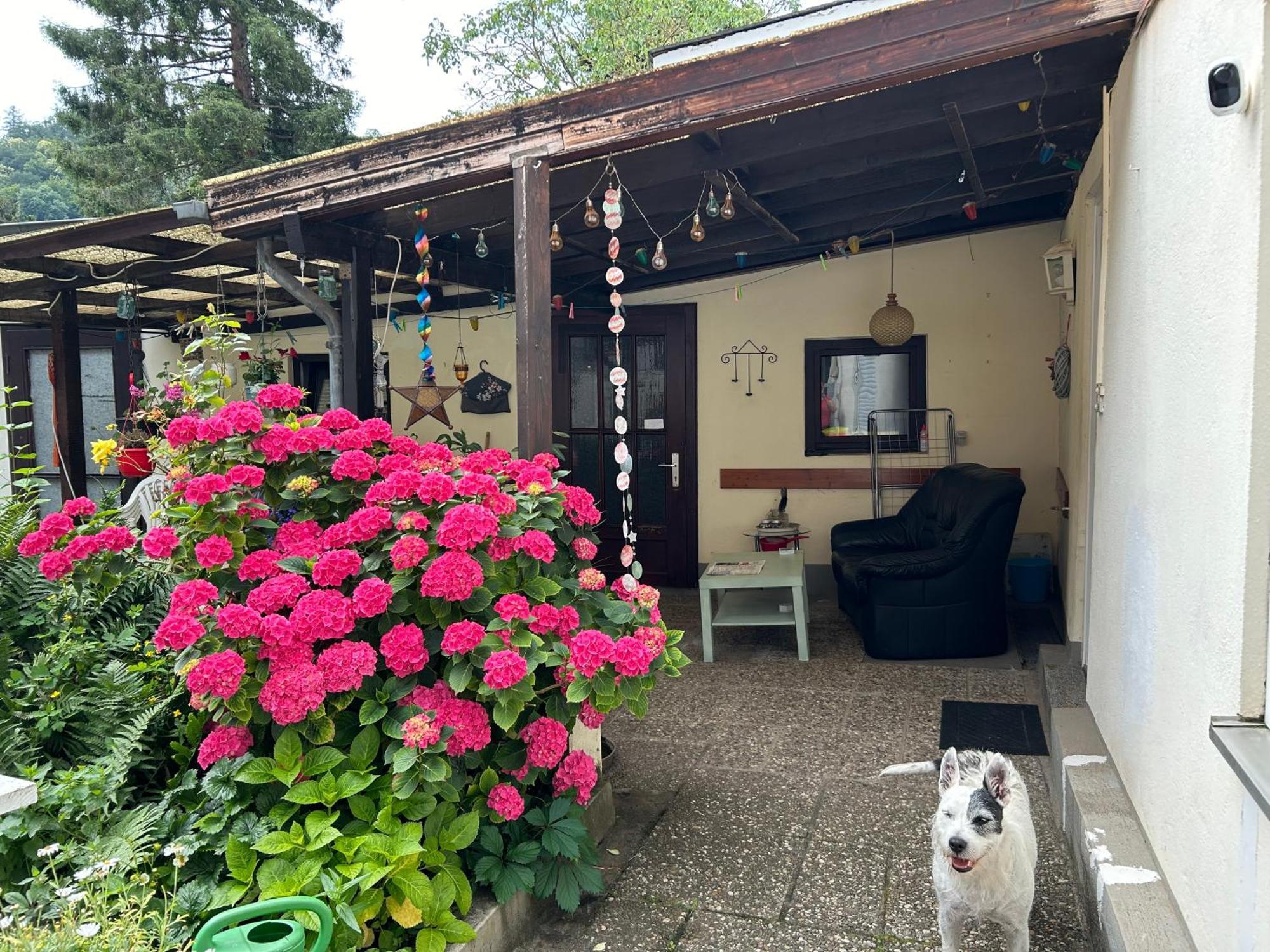 Homestay Mit Eigenem Bad Und Blick Auf Den Rhein *