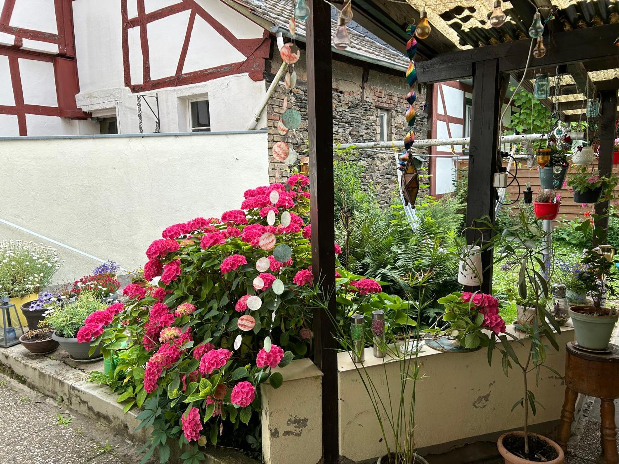 Mit Eigenem Bad Und Blick Auf Den Rhein *