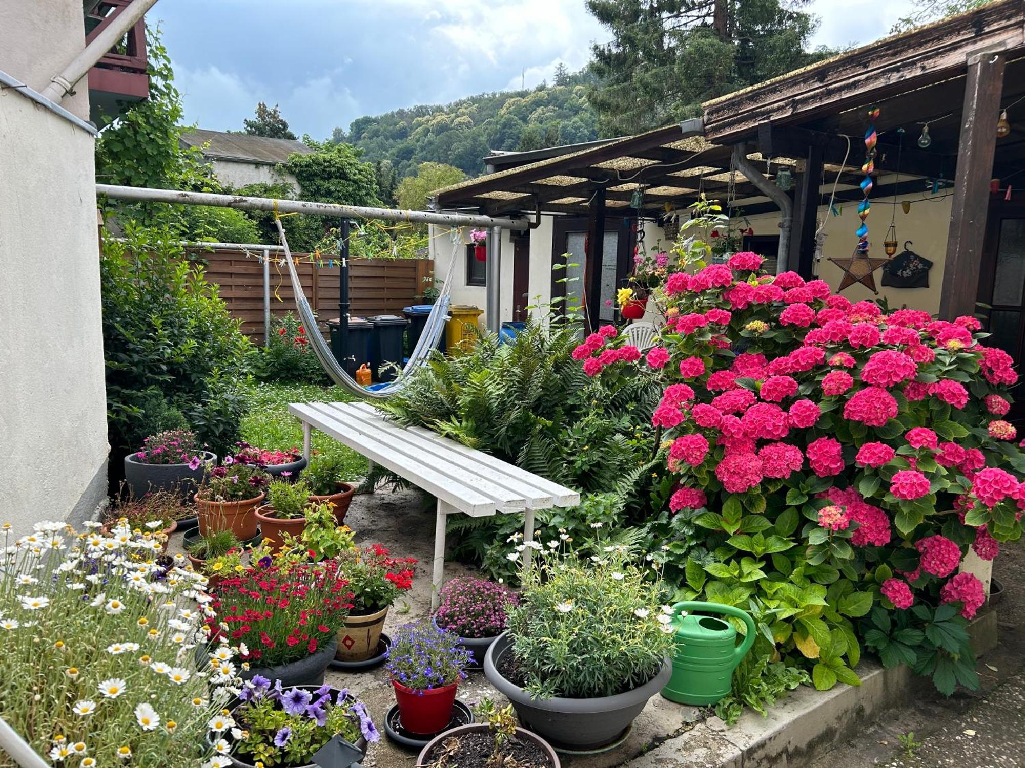 Mit Eigenem Bad Und Blick Auf Den Rhein